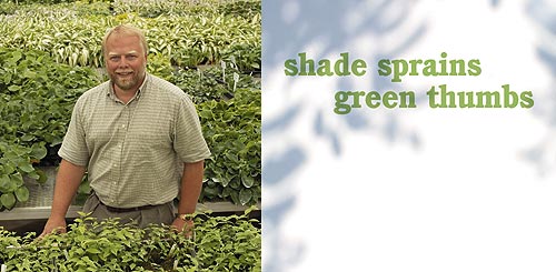 Shade Sprains Green Thumbs