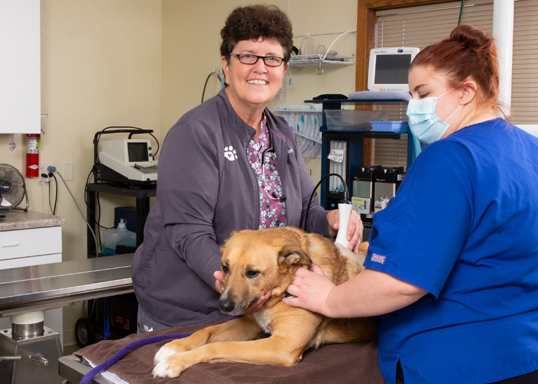 Veterinarian with Vision - Connect Business Magazine